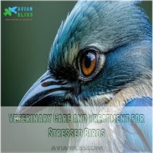 Veterinary Care and Treatment for Stressed Birds