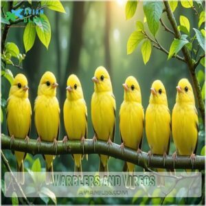 Warblers and Vireos