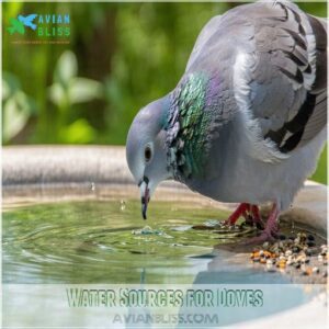 Water Sources for Doves