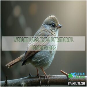 Weight Loss and Nutritional Deficiencies