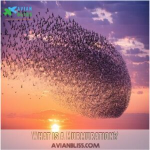 What is a Murmuration