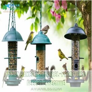 What Makes a Squirrel-Proof Bird Feeder Effective