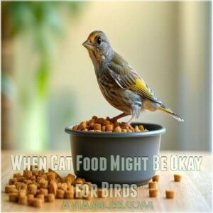 When Cat Food Might Be Okay for Birds