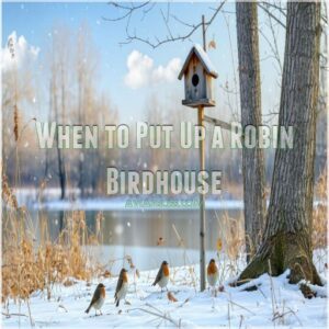 When to Put Up a Robin Birdhouse