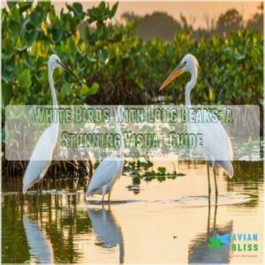 white birds with long beaks