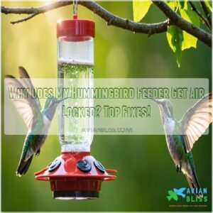 why does my hummingbird feeder get air locked