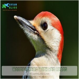 Woodpeckers With Red Heads