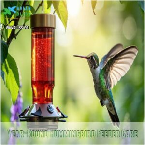 Year-Round Hummingbird Feeder Care