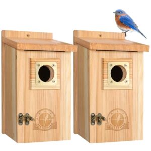 2 Pack Bird Houses for