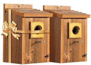 2pk Large Bluebird Nesting Box