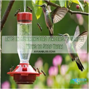 ants in hummingbird feeder