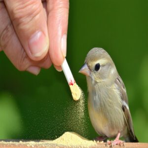 Applying Styptic Powder to Stop Bleeding