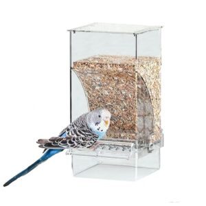 Automatic Bird Feeder No Mess