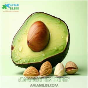 Avocado and Its Toxicity