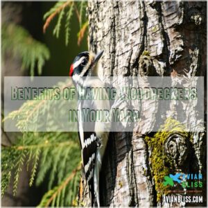 Benefits of Having Woodpeckers in Your Yard