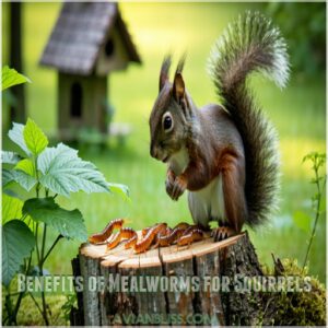 Benefits of Mealworms for Squirrels