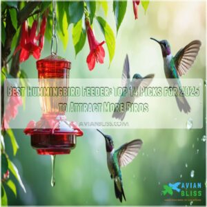 best hummingbird feeder