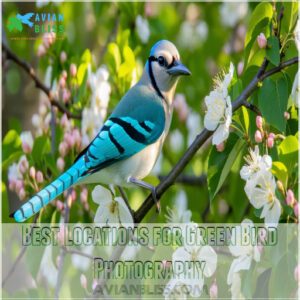 Best Locations for Green Bird Photography