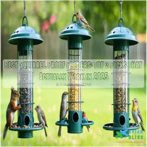 best squirrel proof feeders