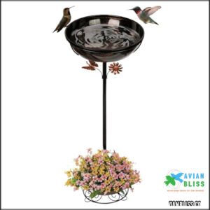 Bird Bath for Outside, Pedestal