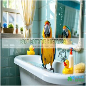 Bird Bathing Mistakes