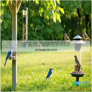 Bird Feeders and Seed