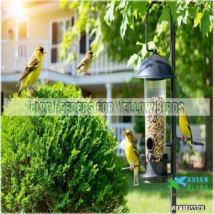 Bird Feeders for Yellow Birds