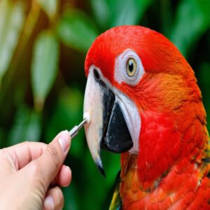 Bird Grooming Essentials