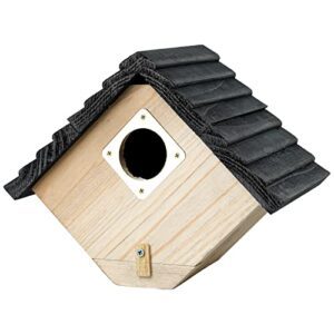 Bird House Bird House for