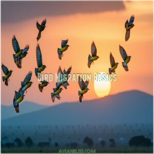 Bird Migration Basics