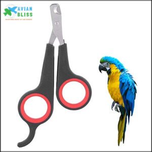 Bird Nail Clipper Grooming Tool