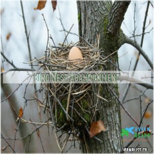 Bird Nest Abandonment