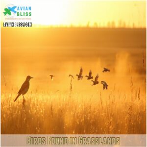 Birds Found in Grasslands