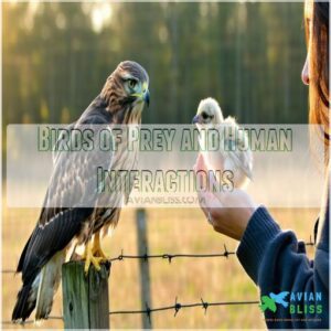 Birds of Prey and Human Interactions