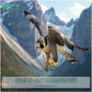 Birds of Prey Classification