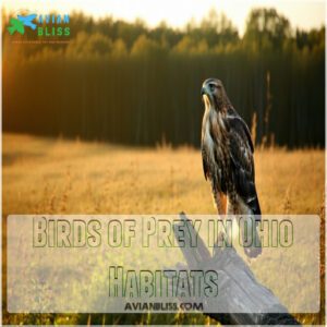 Birds of Prey in Ohio Habitats