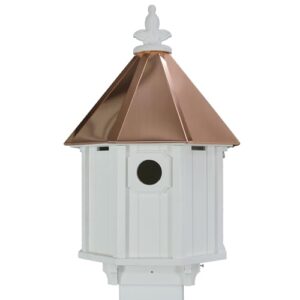 Bluebird Songbird Duplex Bird House