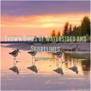 Brown Birds of Watersides and Shorelines