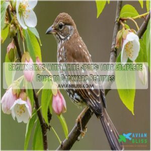 brown birds with white spots