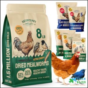 Bulk Dried Mealworms 8 lbs