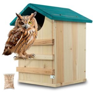 Cedar Wood Owl Sanctuary Handcrafted