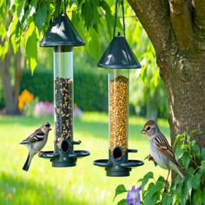 Choosing Right Bird Feeders