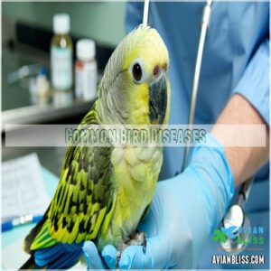 Common Bird Diseases