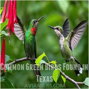 Common Green Birds Found in Texas