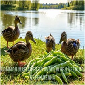 Common Mistakes to Avoid When Feeding Green Beans