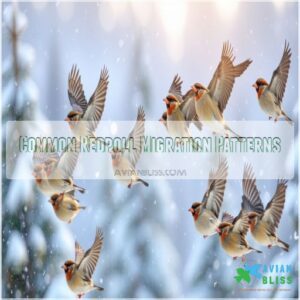 Common Redpoll Migration Patterns