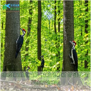 Conservation and Management of Georgia Woodpeckers