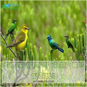 Conservation of Green Birds in Texas