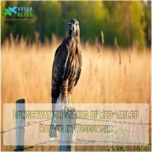 Conservation Status of Red-Tailed Hawks in Wisconsin