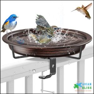 Deck Mounted Bird Bath for